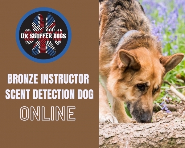 Detection Dog Instructor Bronze (ONLINE)