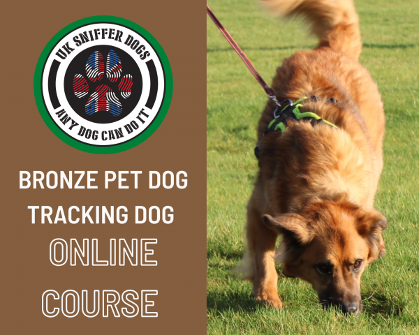 Bronze Online Tracking Course