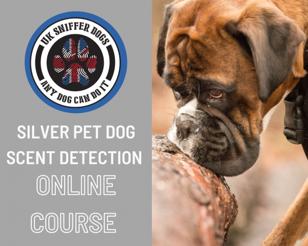 Silver Online Scent Detection Course