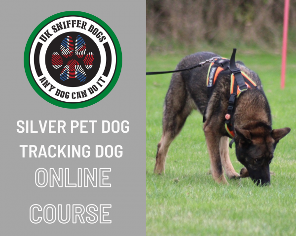 Silver Online Tracking Course