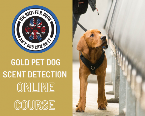 Gold Online Scent Detection Course